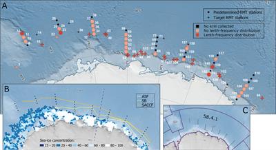 Demography of Antarctic krill (Euphausia superba) from the KY1804 austral summer survey in the eastern Indian sector of the Southern Ocean (80 to 150˚E), including specific investigations of the upper surface waters